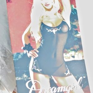 Sexy Black Sheer Chemise set